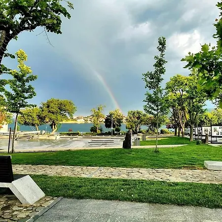 кастро/castro * Carevo